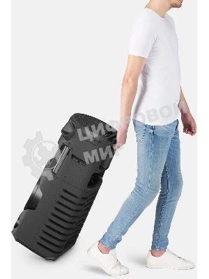 Минисистема Sony MHC-V43D черный/CD/CDRW/DVD/DVDRW/FM/USB/BT