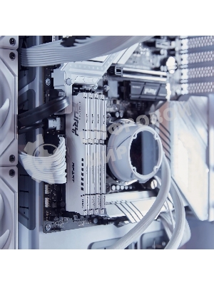 Оперативная память Kingston Fury Beast, DDR5, 32Gb (1x32GB), 6000MHz, CL36, DIMM, с радиатором, белый