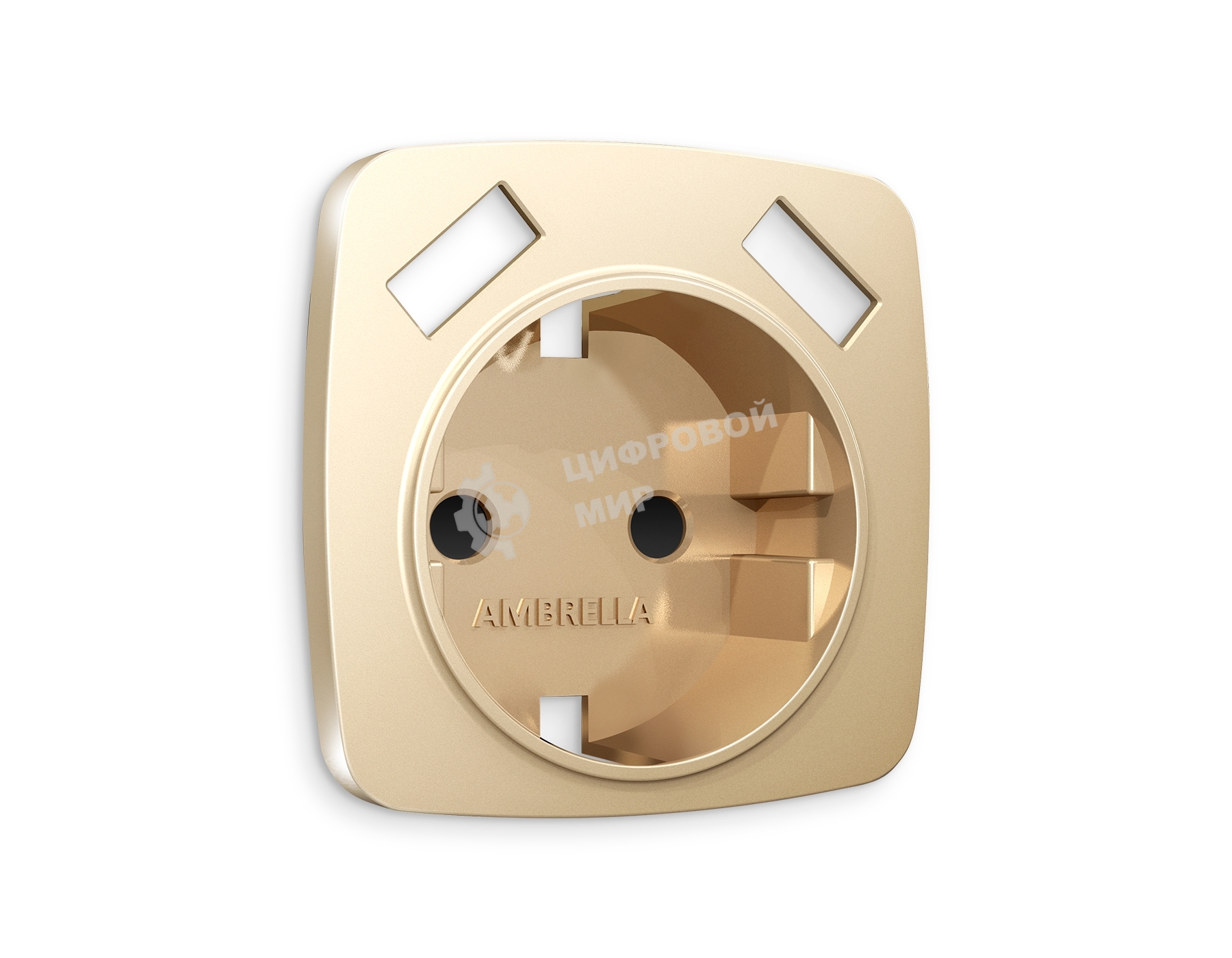 Лицевая панель OMEGA (Шампань) для электрической розетки с/з со шторками 2USB A+A QUANT OP6090