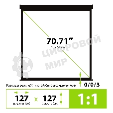 Экран Cactus 127x127см Wallscreen CS-PSW-127X127-BK 1:1 настенно-потолочный рулонный черный