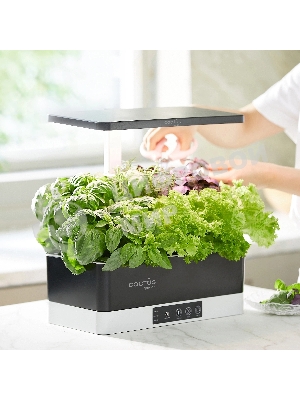 Гидропонная установка Cactus Garden 3л 24Вт черный (CS-LEDPOT-06)