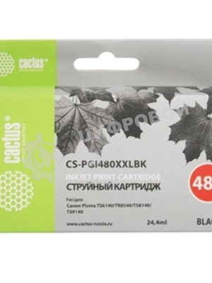 Картридж струйный Cactus CS-PGI480XXLBK черный (24.4мл) для Canon Pixma TR7540/TR8540/TS6140/TS8140