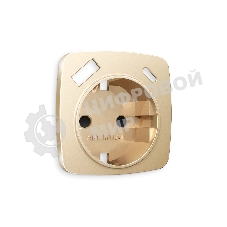 Лицевая панель OMEGA (Шампань) для электрической розетки с/з со шторками 2USB A+C QUANT OP6100