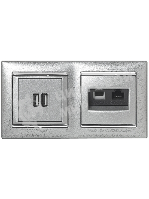 Розетка 2-ая USB | 770270 | Legrand Valena Алюминий