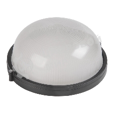 Светильник IEK 100Вт черный (LNPP0-1101-1-100-K02)