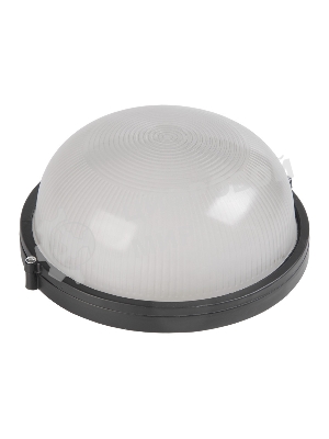 Светильник IEK 100Вт черный (LNPP0-1101-1-100-K02)