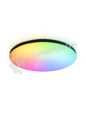 Умный светодиодный светильник FZ2004 BK черный IP54 20W 3000K-6500K+RGB Wi-Fi Алиса/Tuya/Smart Home/Alexa D300*55 (ПДУ ИК)