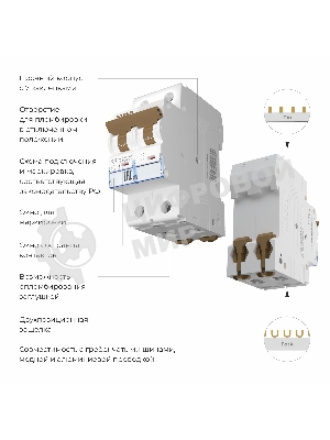 Автоматический выключатель Werkel 2P  10 A  C  4,5 кА W902P104