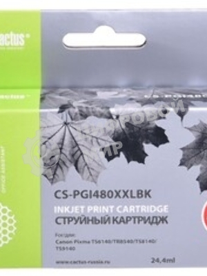 Картридж струйный Cactus CS-PGI480XXLBK черный (24.4мл) для Canon Pixma TR7540/TR8540/TS6140/TS8140