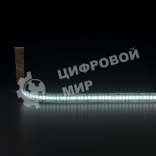 Лента светодиодная 2835 24V 240Led 24W IP20 / 240Led 24W IP20 6500K холодный белый