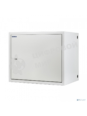 Шкаф настенный антивандальный распашной NTSS WAR 14U 600*500 мм, 2 профиля 19, сварной, серый RAL 7035 NTSS-WAR14U6050