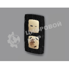 Лицевая панель OMEGA (Шампань) для розетки 2USB тип A+C QUANT OP6110