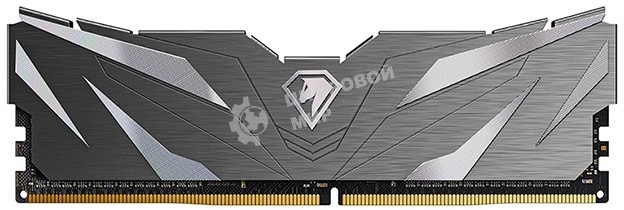 Оперативная память NETAC, DDR4, 32GB (2x16GB), 3200MHz, CL16, DIMM, с радиаторами, черный