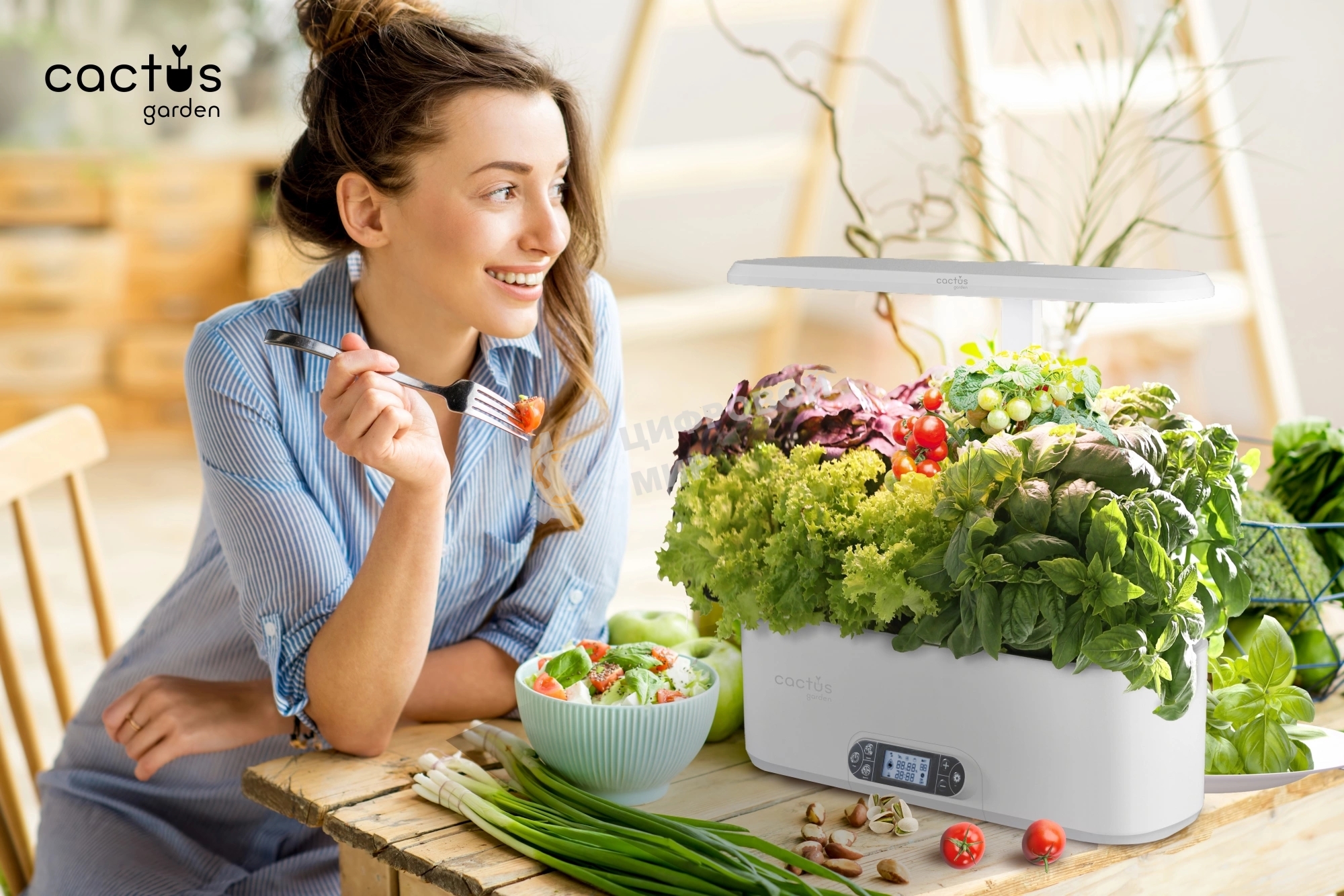 Гидропонная установка Cactus Garden 3л 24Вт черный (CS-LEDPOT-06)