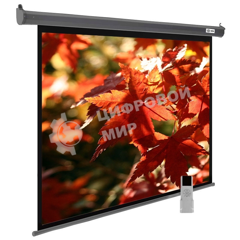 Экран Cactus 150x200 см SIlverMotoExpert CS-PSSME-200X150-DG 4:3 настенно-потолочный рулонный темно-серый (моторизованный привод)