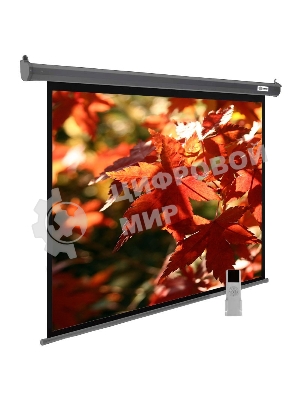 Экран Cactus 150x200 см SIlverMotoExpert CS-PSSME-200X150-DG 4:3 настенно-потолочный рулонный темно-серый (моторизованный привод)