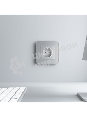 Рамка на 1 пост Platinum (алюминий) W0012606