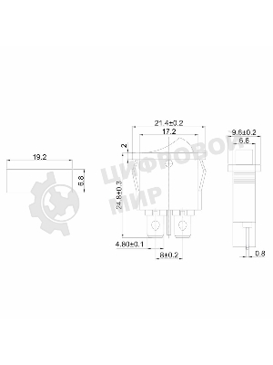 Выключатель клавишный Rexant 250V 6А (2с) ON-OFF черный Mini