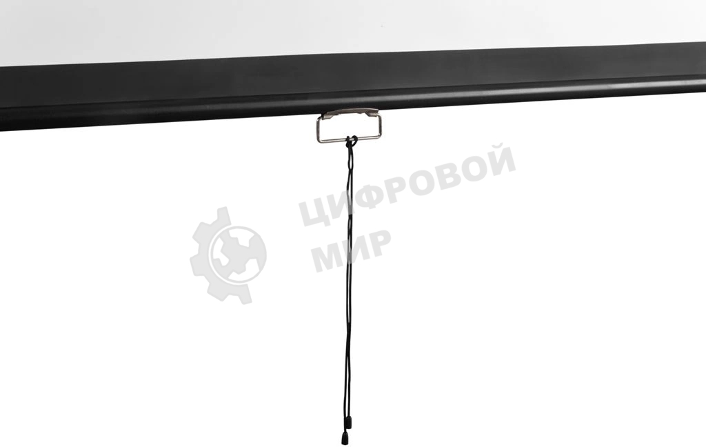 Экран Digis 248x144см Optimal-D DSOD-16905 16:9 настенный рулонный белый