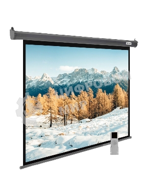 Экран для проектора Cactus SIlverMotoExpert CS-PSSME-300X188-DG, 139 