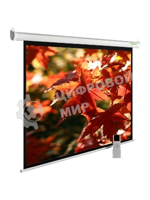 Экран Cactus 150x200 см SIlverMotoExpert CS-PSSME-200X150-WT 4:3 настенно-потолочный рулонный белый (моторизованный привод)