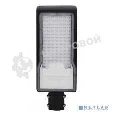 Светильник светодиодный консольный Rexant ДКУ 02-100-5000К-Ш асимметричный IP65 черный