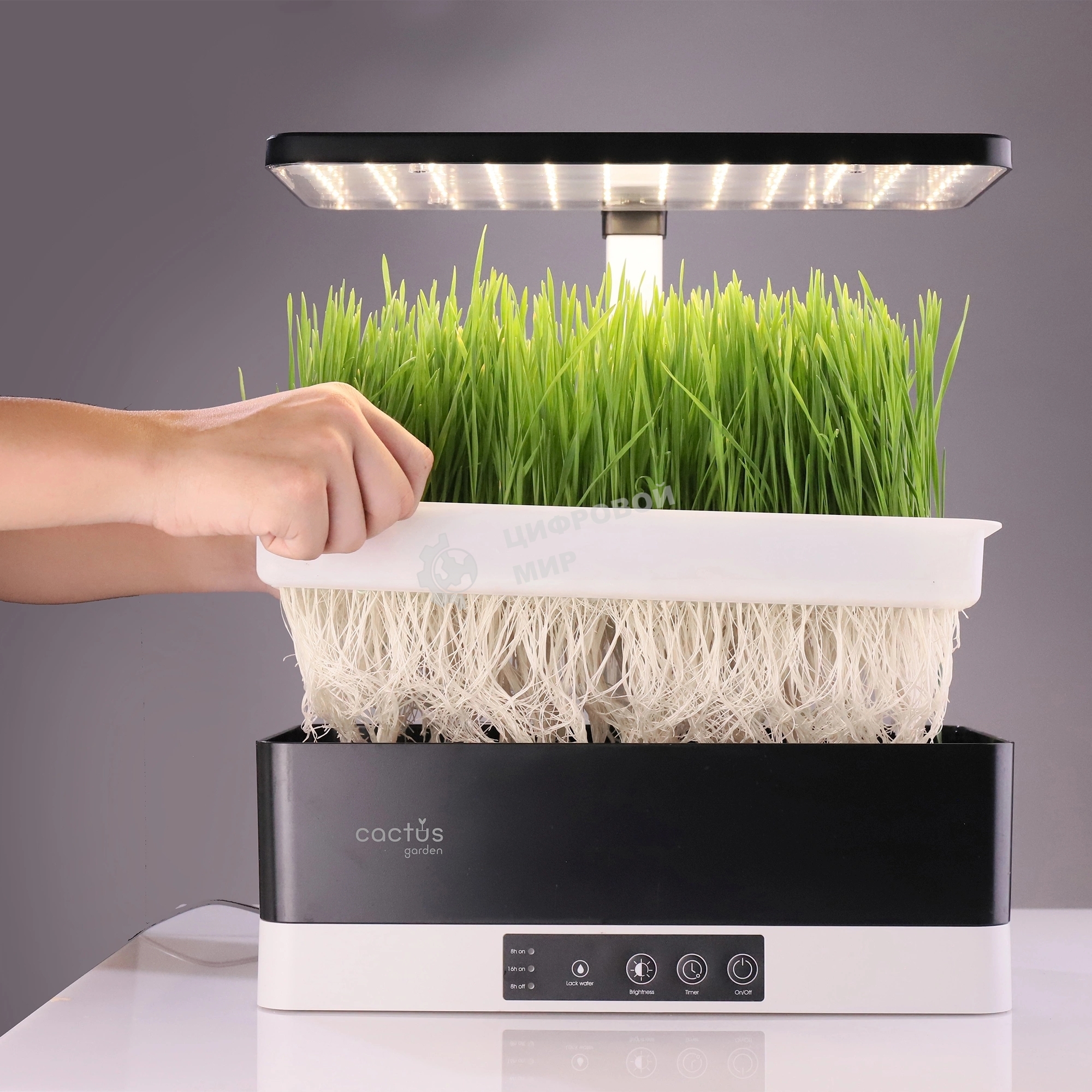 Гидропонная установка Cactus Garden 3.0л 24Вт черный (CS-LEDPOT-11)