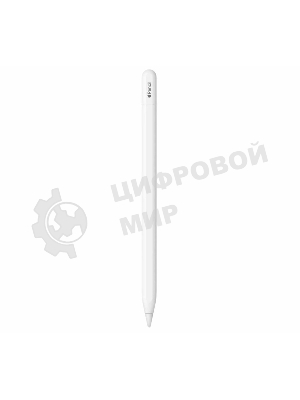 Перо-карандаш Apple Pencil (USB-C)