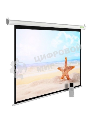 Экран Cactus 175x280 см SIlverMotoExpert CS-PSSME-280X175-WT 16:10 настенно-потолочный рулонный белый (моторизованный привод)