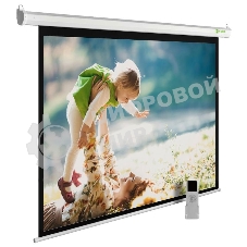 Экран Cactus 188x300см SIlverMotoExpert CS-PSSME-300X188-WT 16:10 настенно-потолочный рулонный белый (моторизованный привод)