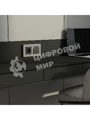 Розетка с заземлением и шторками (черный матовый)