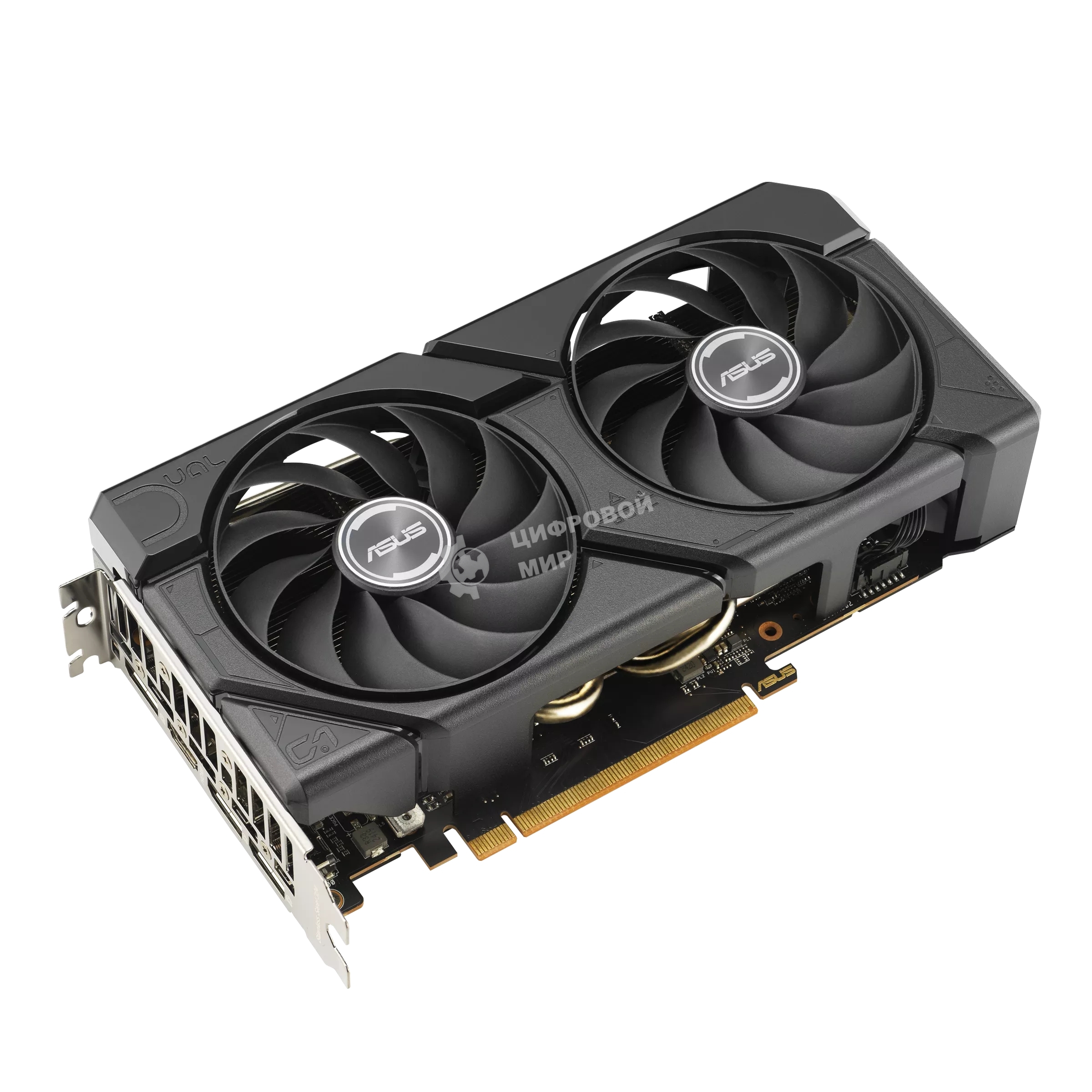 Видеокарта Asus AMD Radeon RX 7600 8Gb PCI-E DUAL-RX7600-O8G-EVO 128bit GDDR6 2280/18000 HDMIx1 DPx3 HDCP Ret