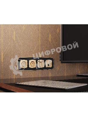 Комплект механизма компьютерной розетки RJ-45 экранированной с автоматической защитной шторкой OMEGA Шампань QUANT (OP6120, VM185) MO612005