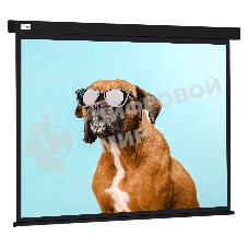 Экран Cactus 183x244см Wallscreen CS-PSW-183X244-BK 4:3 настенно-потолочный рулонный черный