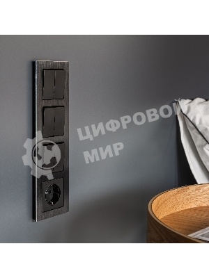 Выключатель двухклавишный проходной WERKEL (черный матовый) W1122008