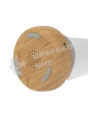 Интерьерный светильник Neon-night Тукан