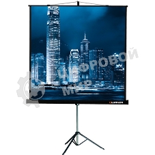 Экран на штативе Lumien Master View 128x171 см Matte White FiberGlass (LMV-100106)