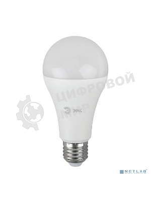 Лампа светодиодная ЭРА Светодиодная лампа груша LED A65-25W-865-E27