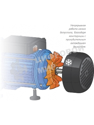Насосная станция ДЖАМБО 60/35П-24600Вт глубина до 9м высота до 30м 3600л/ч 24л для чистой воды