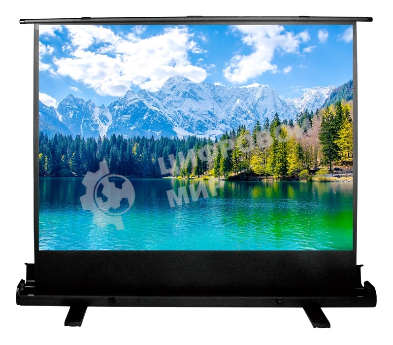 Экран Cactus 90x160 см FloorExpert CS-PSFLE-160X90 16:9 напольный рулонный