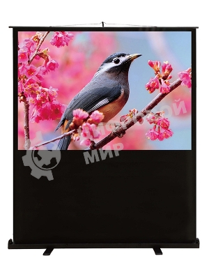 Экран Cactus 90x120 см FloorCompactExpert CS-PSFLCE-120X90 4:3 напольный рулонный