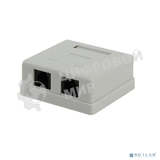 Розетка компьютерная NA-TA/1 RJ45+RJ11 кат.5e UTP внешняя 2 порта, 110&Krone