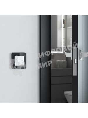 Рамка на 1 пост Elite (черный, стекло) W0012448
