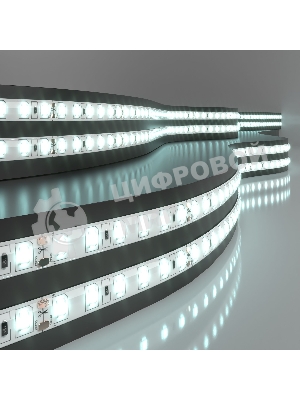 Лента светодиодная 2835 24V 120Led 9,6W IP65 / 120Led 9,6W IP65 6500K холодный белый