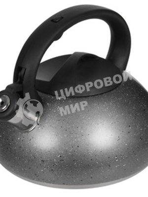 Чайник для плиты ALPENKOK AK-537 3 л
