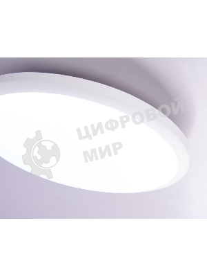 Потолочный светодиодный светильник Ambrella light FZ1230 WH белый IP44 22W 6400К D260*55 (Без ПДУ)