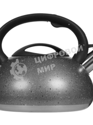 Чайник для плиты ALPENKOK AK-537 3 л