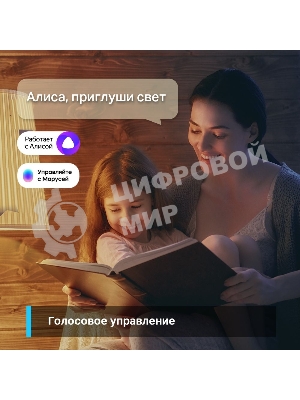 Умная Wi-Fi лампа Smart Wi-Fi Light Bulb, Daylight & Diммable, SPEC: 2.4 GHz, IEEE 802.11b/g/n