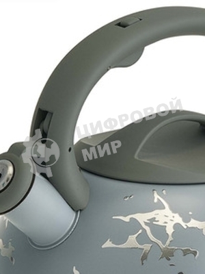 Чайник для плиты ALPENKOK AK-540 3 л