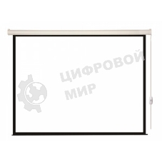 Экран с электроприводом Lumien Eco Control 125x200 см (раб. область 119х194 см) Matte White черная кайма по периметру 16:9